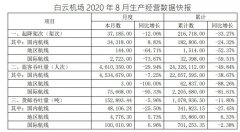 白云机场8月旅客吞吐量461万人次 国内客流恢复超九成