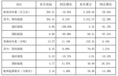 深圳机场11月运输国内旅客393万人次 同比增0.24%
