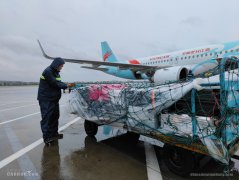 长龙航空全力迎战台风“烟花”