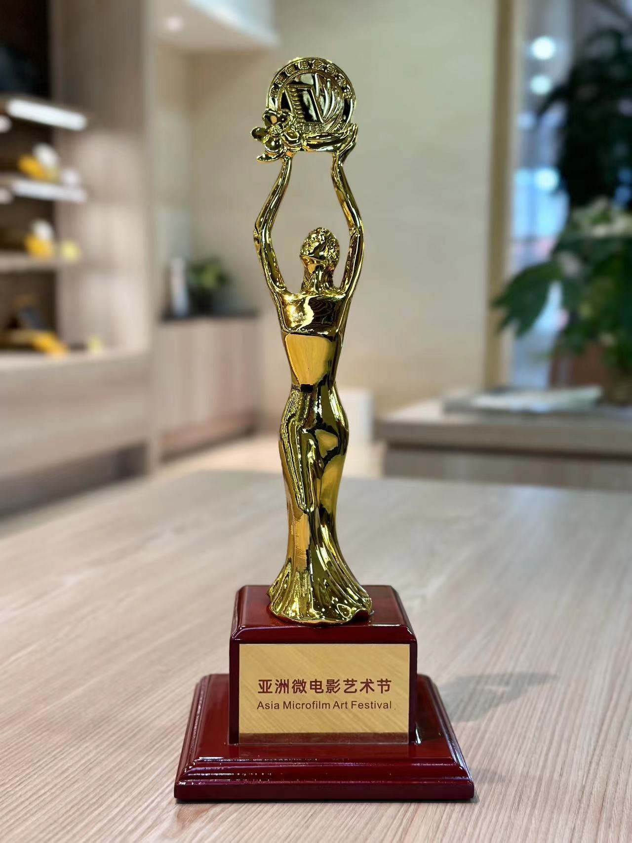 东航获“第十届亚洲微电影艺术节”公益广告（宣传片） 、音乐电视单元最佳作品奖