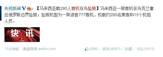 马来西亚一客机乌克兰坠毁 机上295人伤亡不明