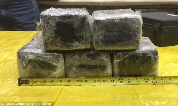 惊！机务在客机机头发现7块不明物体