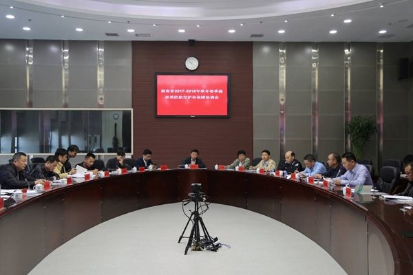 湖南：实现消防飞机飞得起、灭得了的目标