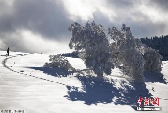 强降雪致德国南部交通受阻 数百航班受影响